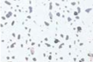 white-platinum-sparkle white-platinum-sparkle